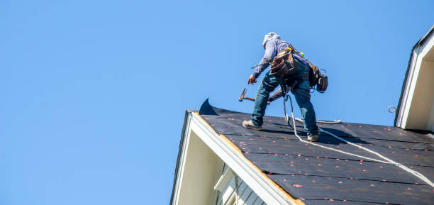 Best Gutter Installation and Roofing  in Minden, LA